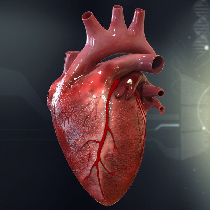 Corazón humano e hipertensión